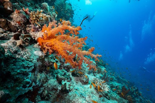rekomendasi wisata Bali Utara